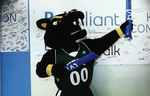 Pride the Panther 2016